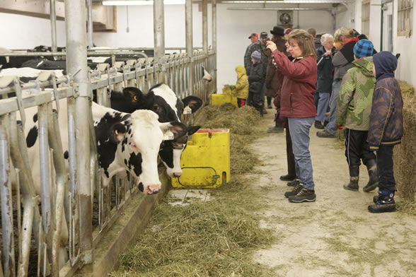 Schomberg Farm Tour