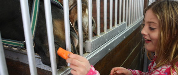 Schomberg Farm Tour