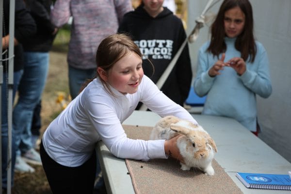 Rabbit Show at Schomberg Fair
