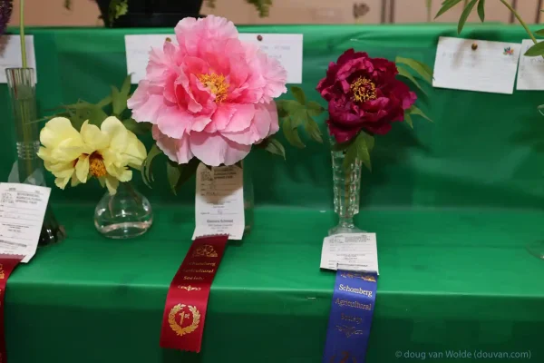 2024 Schomberg Fair