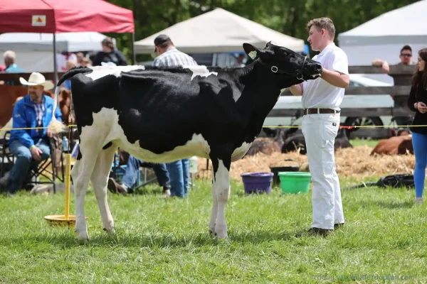 2024 Schomberg Fair