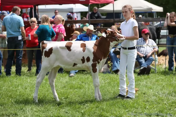 2024 Schomberg Fair