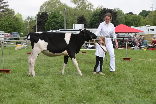 2024 Schomberg Fair