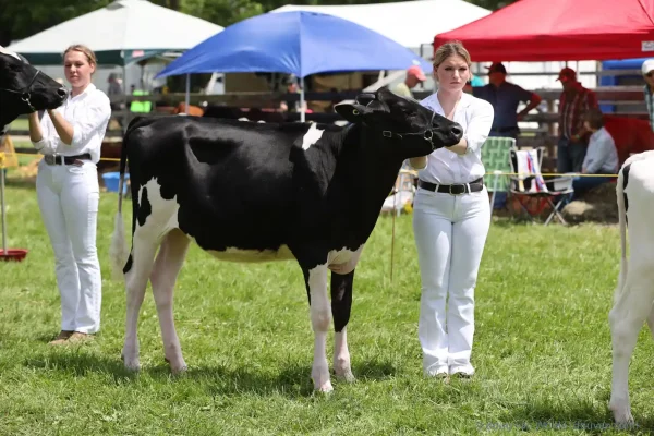 2024 Schomberg Fair