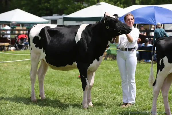 2024 Schomberg Fair