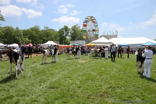 2024 Schomberg Fair