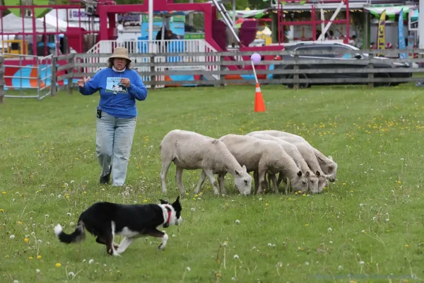 2025 Schomberg Fair