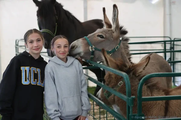 2025 Schomberg Fair