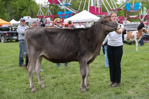 2025 Schomberg Fair
