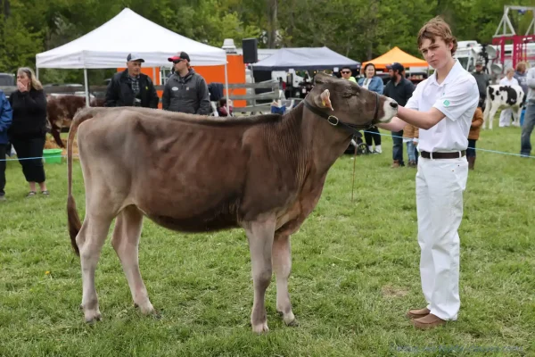 2025 Schomberg Fair
