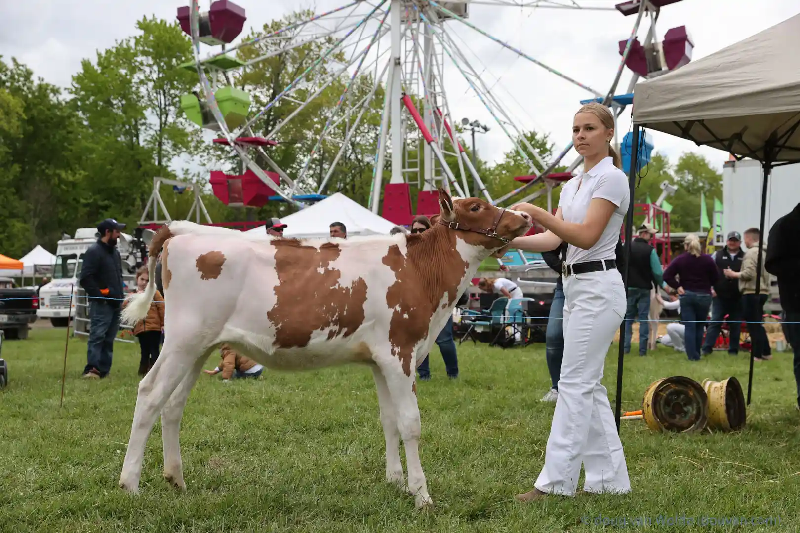 2025 Schomberg Fair