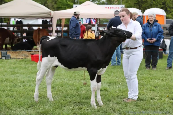 2025 Schomberg Fair