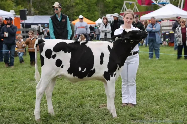 2025 Schomberg Fair