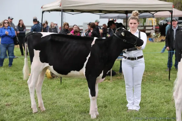 2025 Schomberg Fair