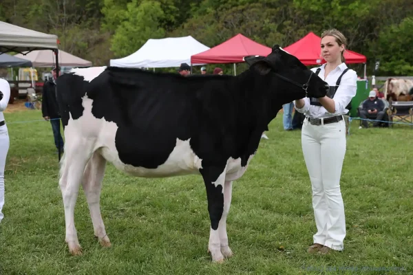 2025 Schomberg Fair
