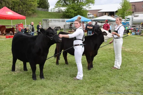 2025 Schomberg Fair
