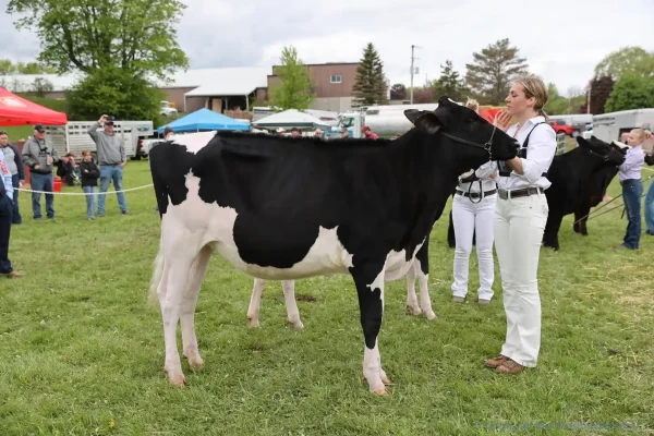 2025 Schomberg Fair
