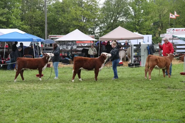 2025 Schomberg Fair
